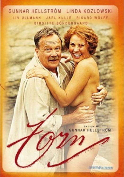 Zorn (1995) poster