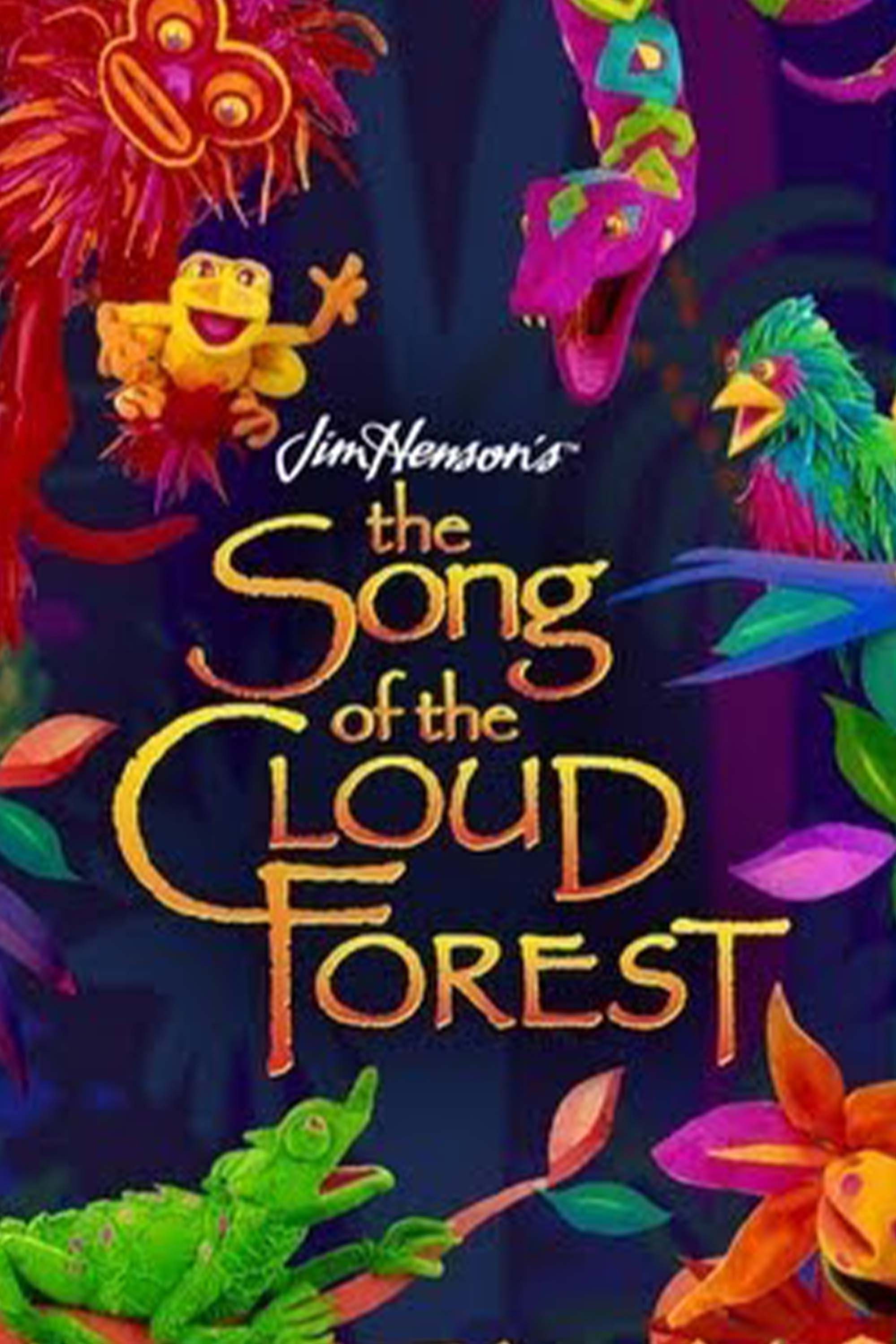The Song of the Cloud Forest (1989) poster