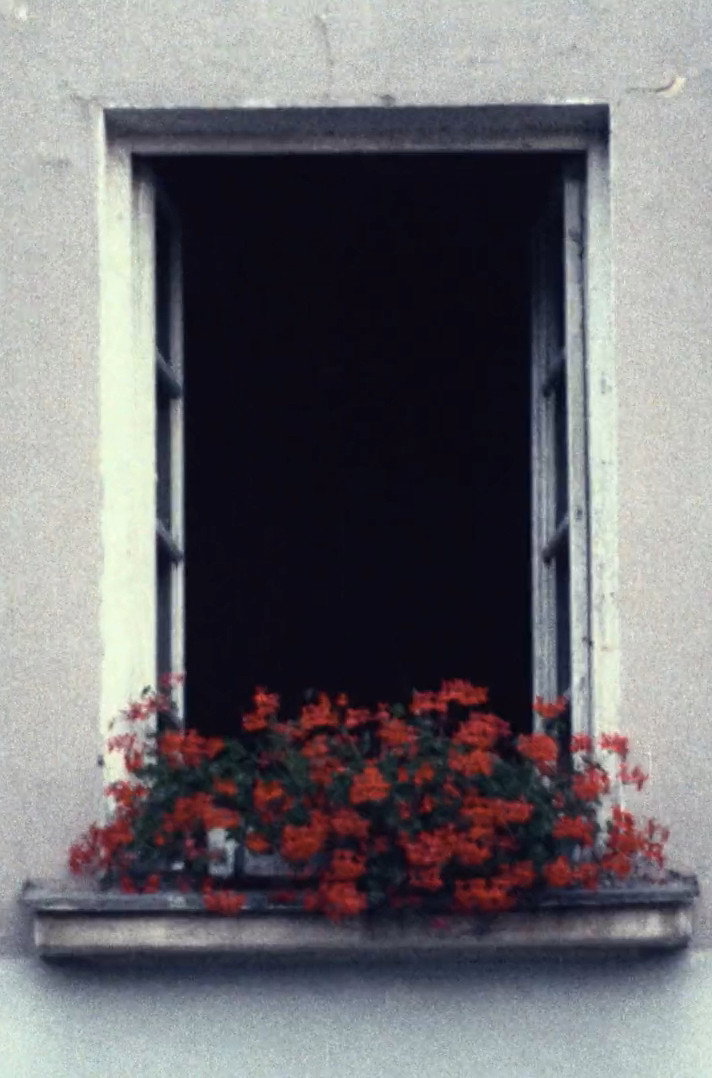 to open a window (2023) poster