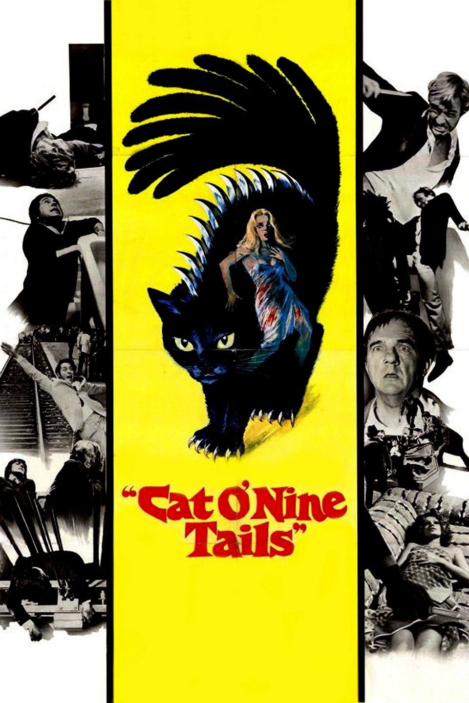 The Cat o' Nine Tails (1971) poster