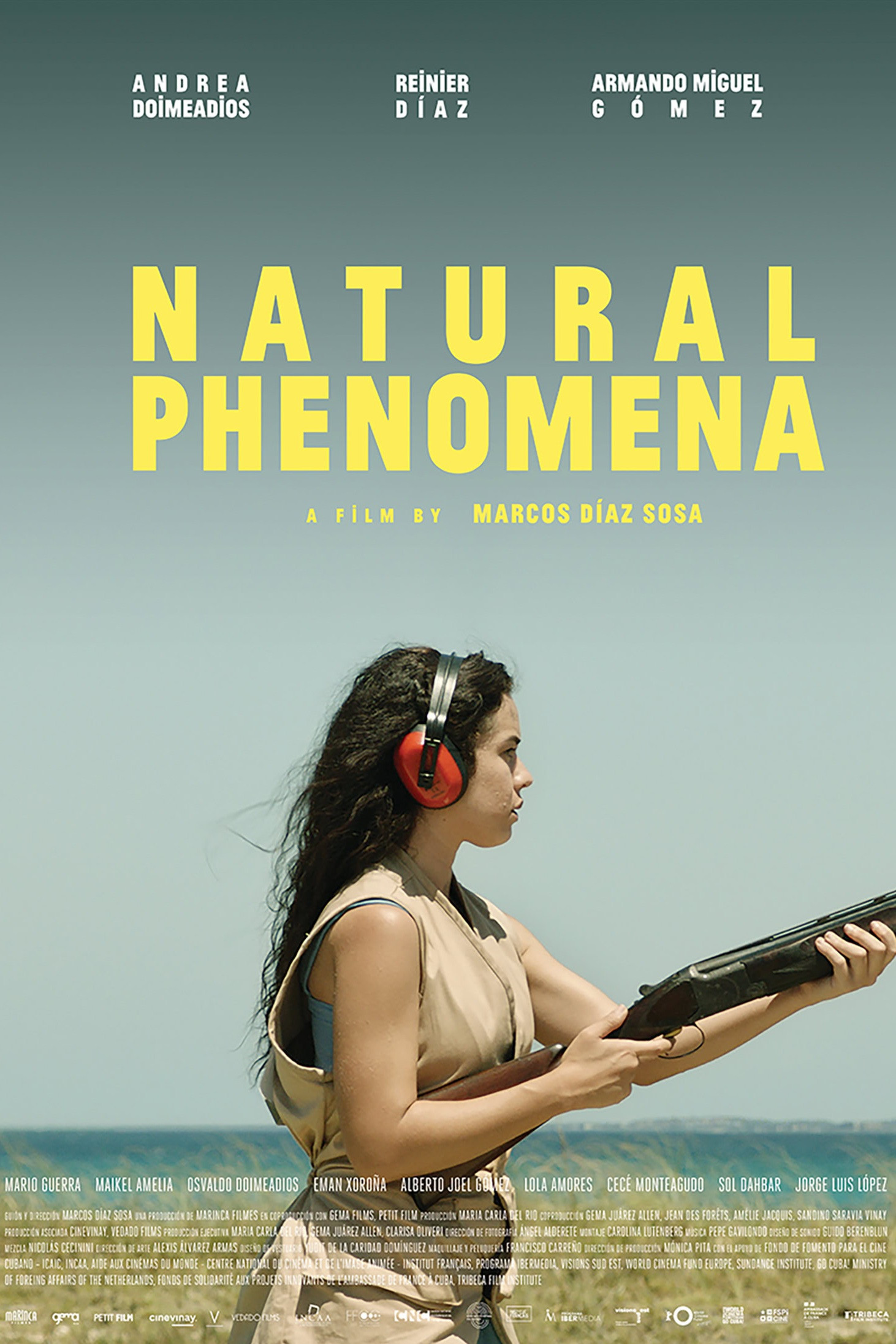 Natural Phenomena (2024) poster