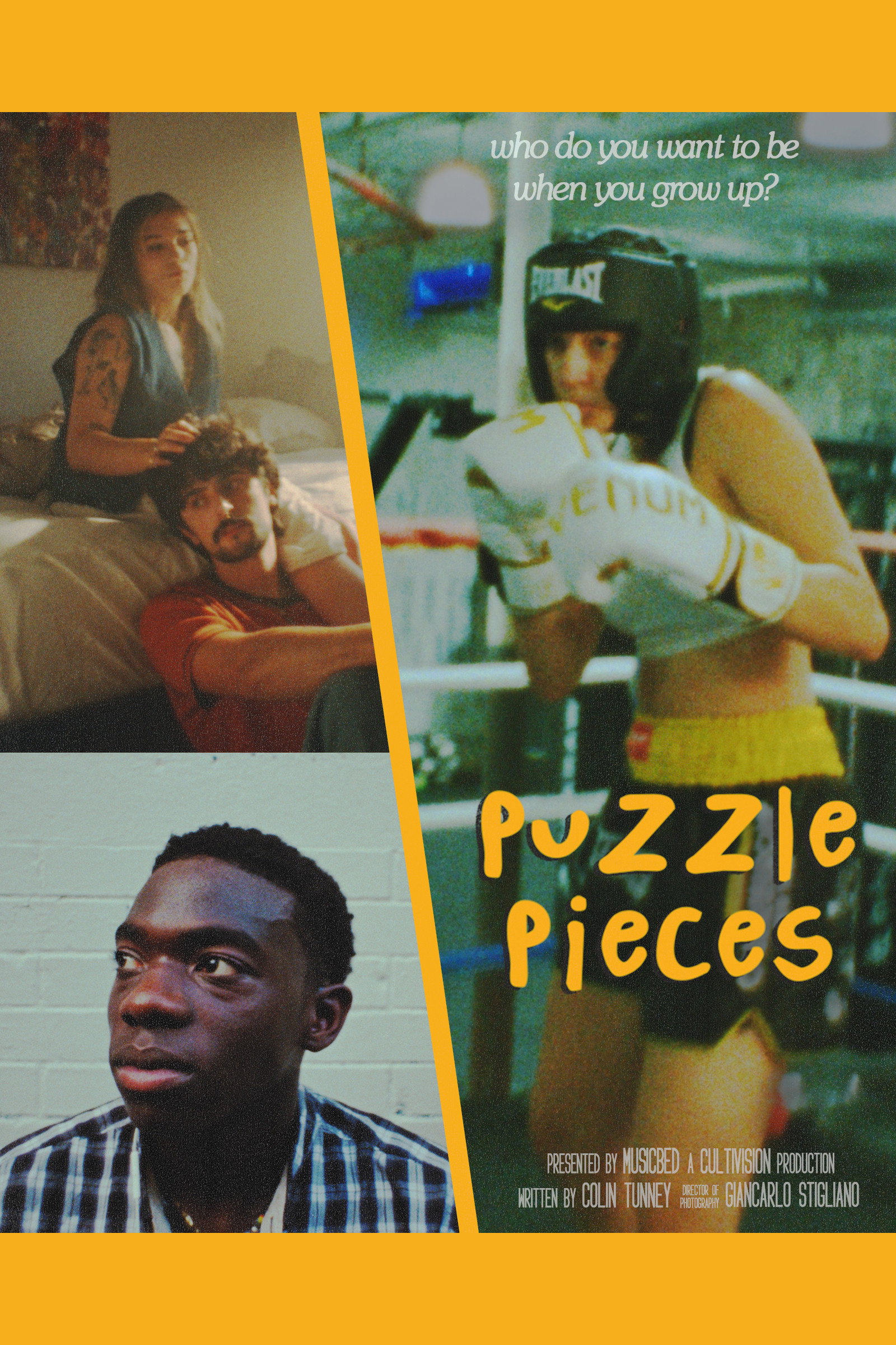 Puzzle Pieces (2024) poster