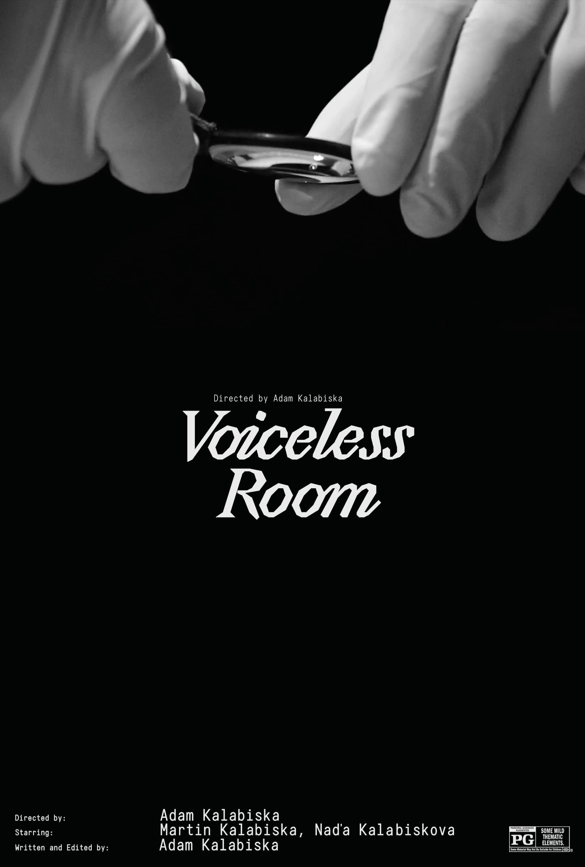 Voiceless Room (2021) poster