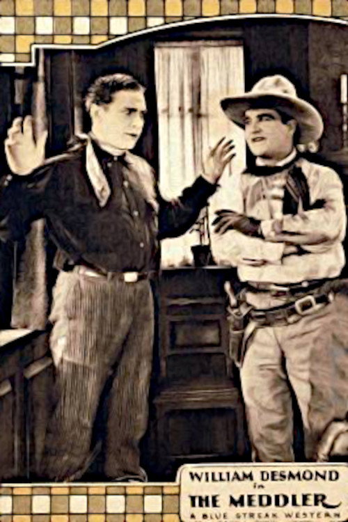 The Meddler (1925) poster