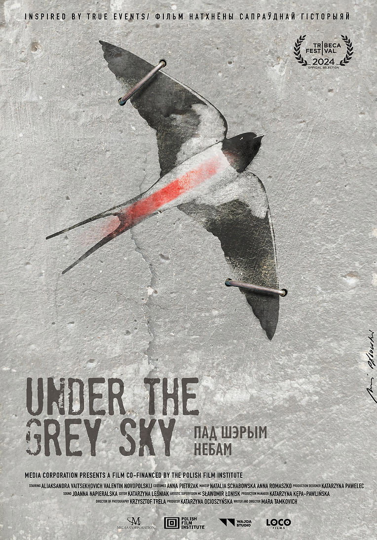Under the Grey Sky (2025) poster