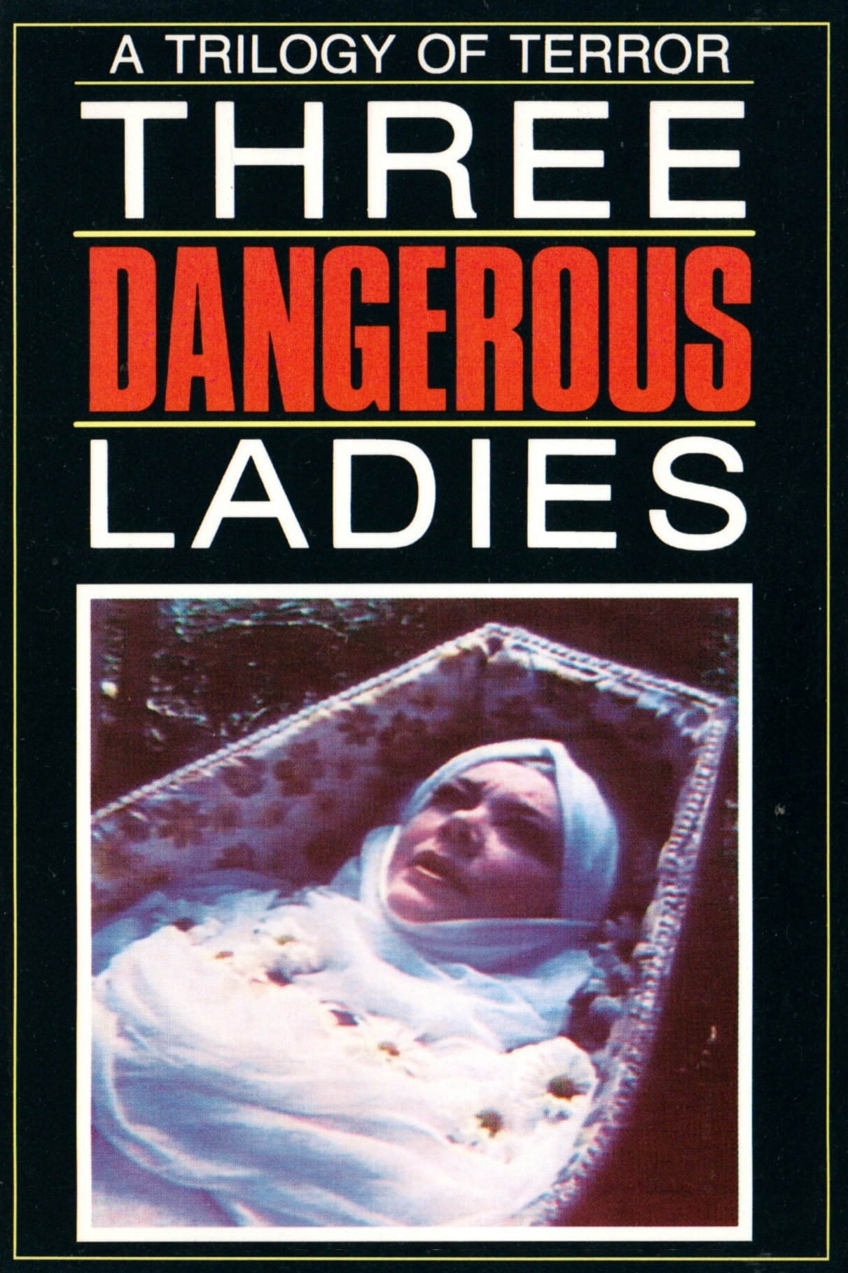 Three Dangerous Ladies (1977) poster