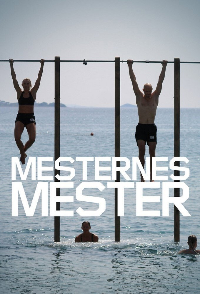 Mesternes mester (2009) poster