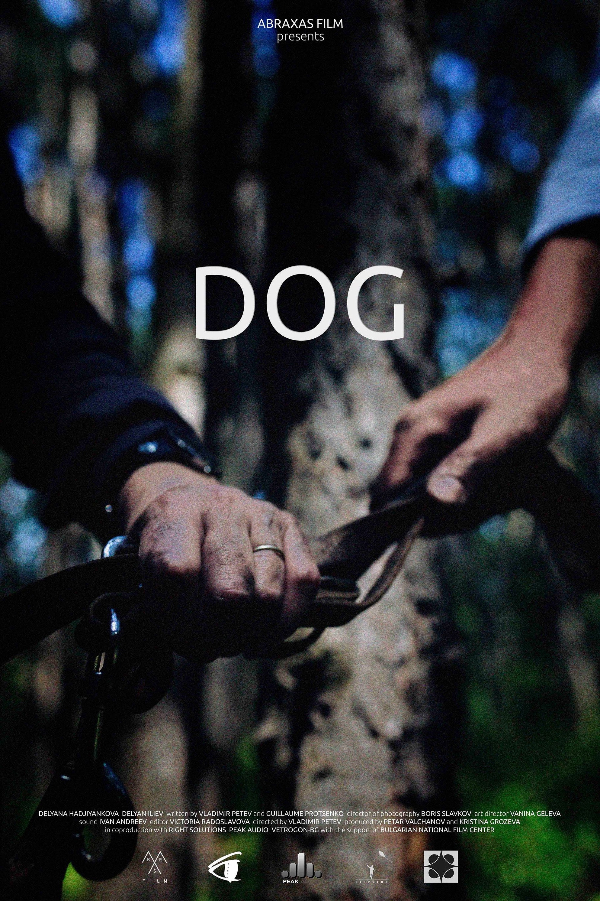Dog (2016) poster