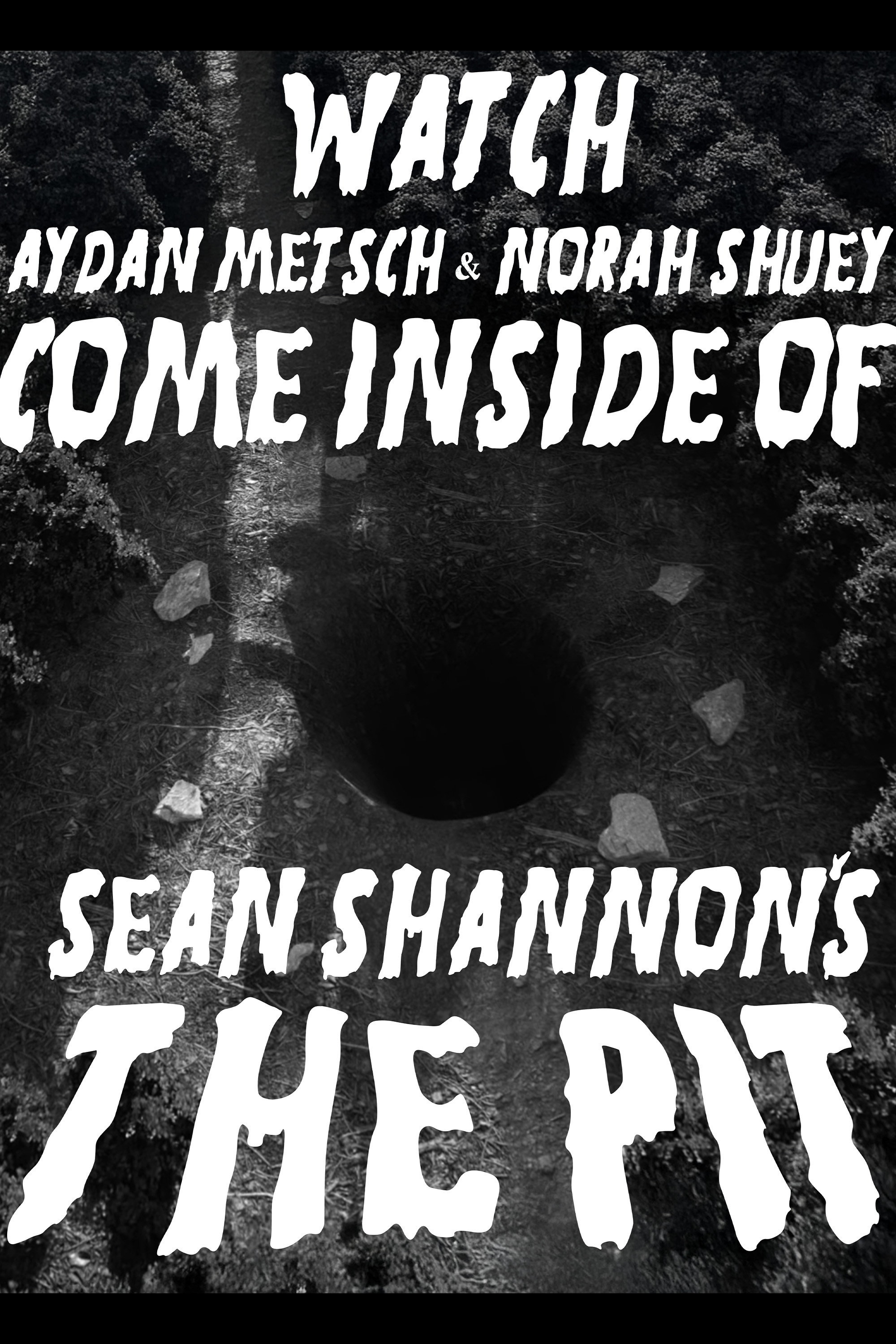 Sean Shannon's THE PIT (2026) poster