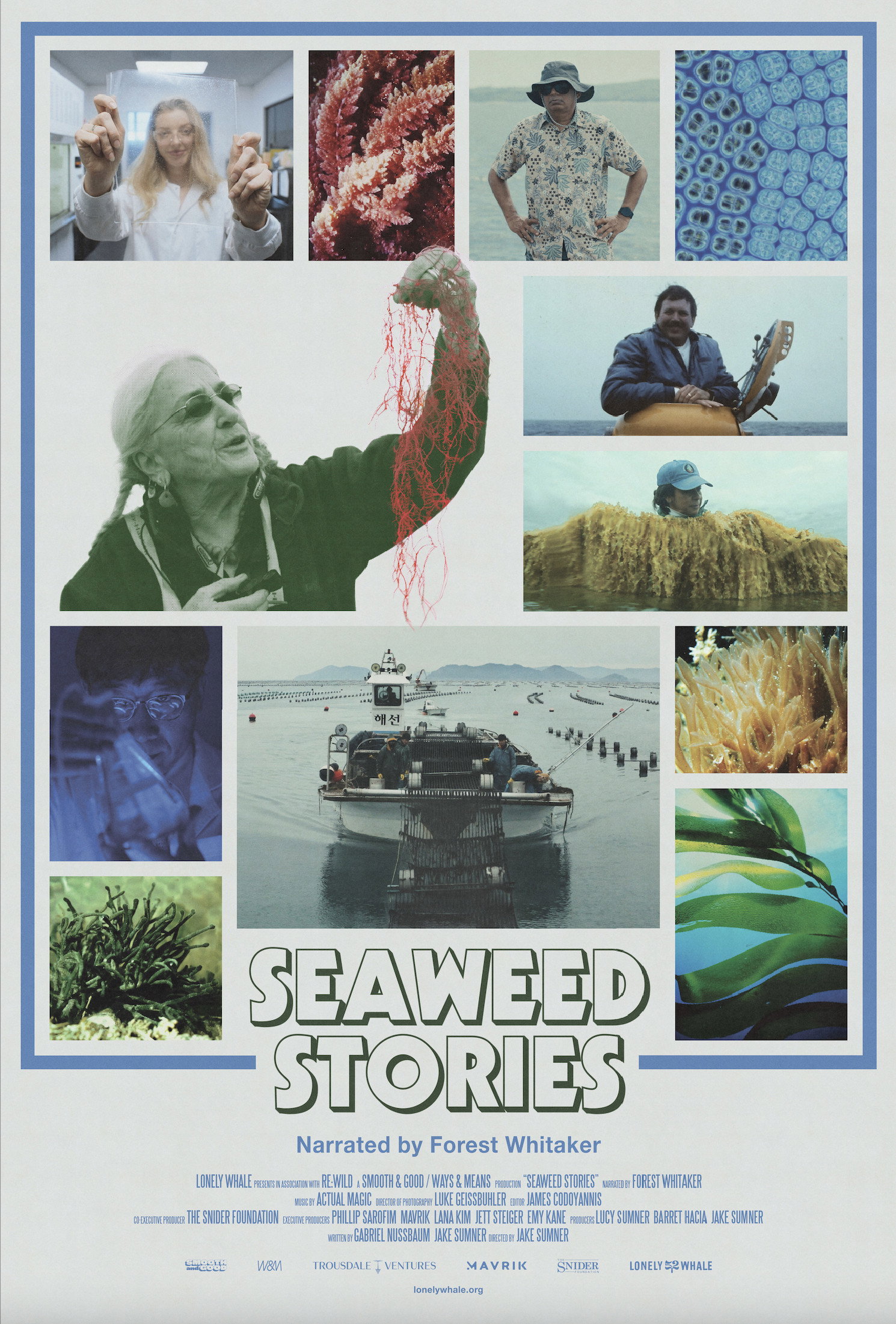 Seaweed Stories (2024) poster
