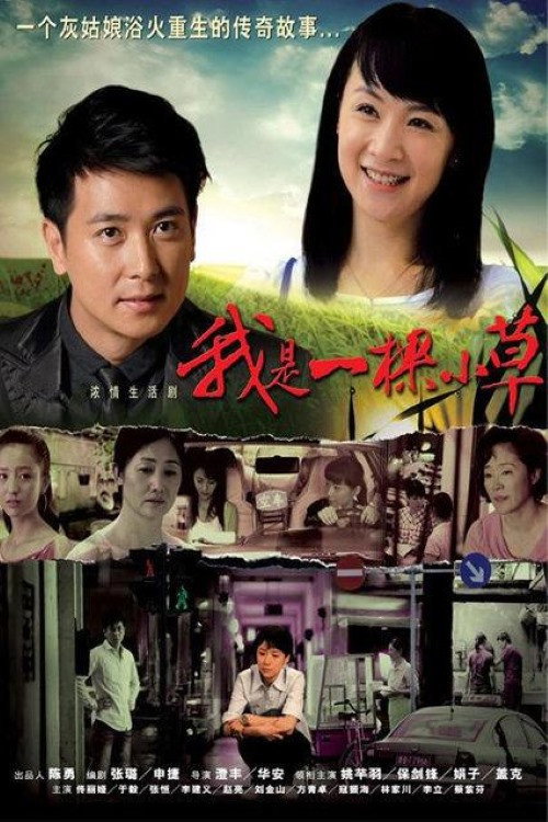 I'm a Small Blade of Grass (2009) poster