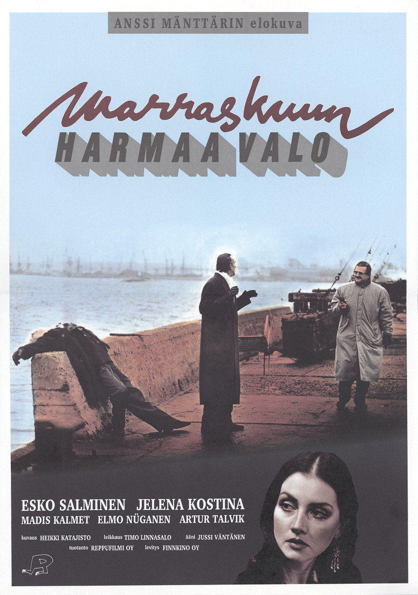 Marraskuun harmaa valo (1993) poster