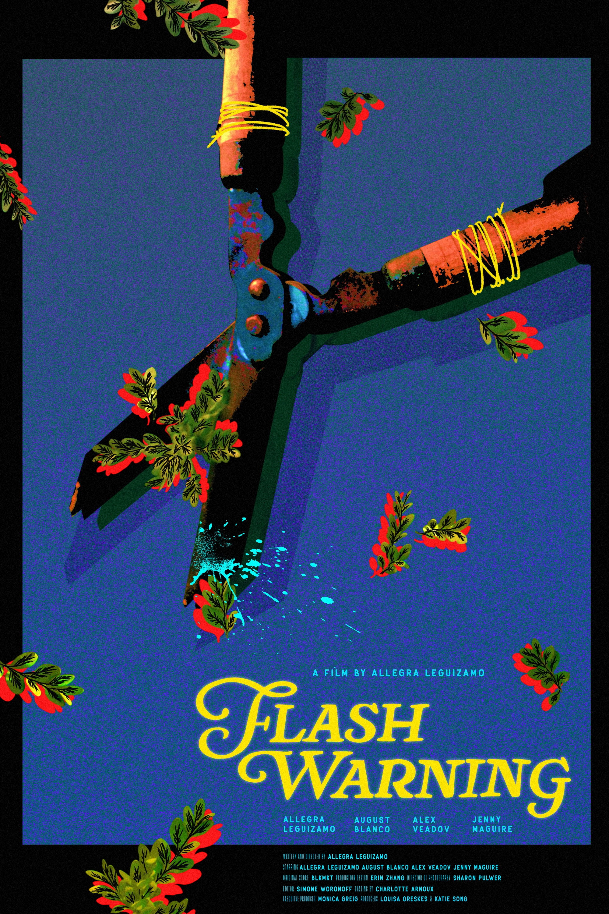 Flash Warning (2026) poster