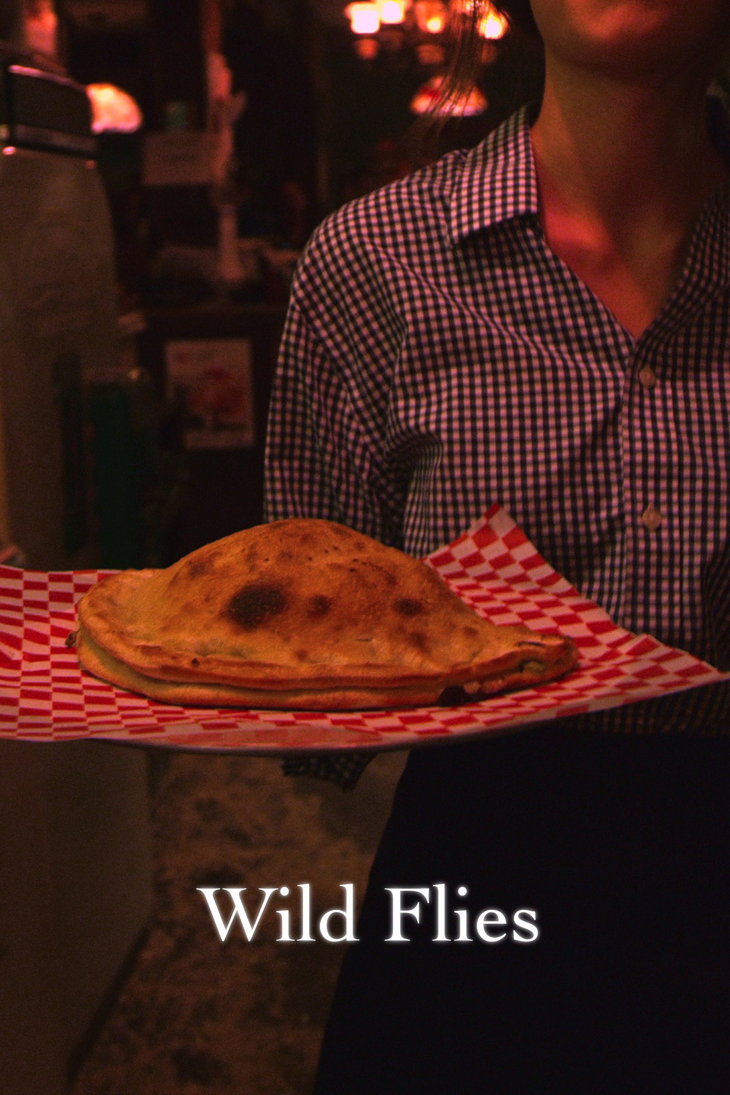 Wild Flies (2016) poster