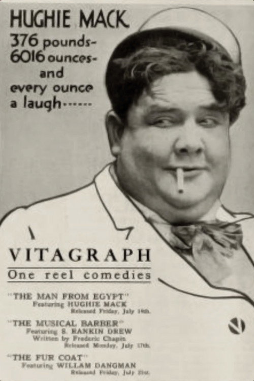 The Fur Coat (1916) poster