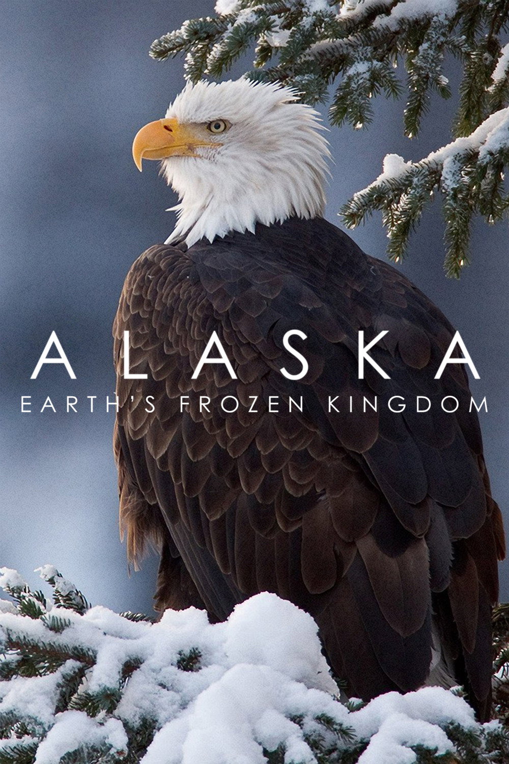 Alaska: Earth's Frozen Kingdom (2015) poster