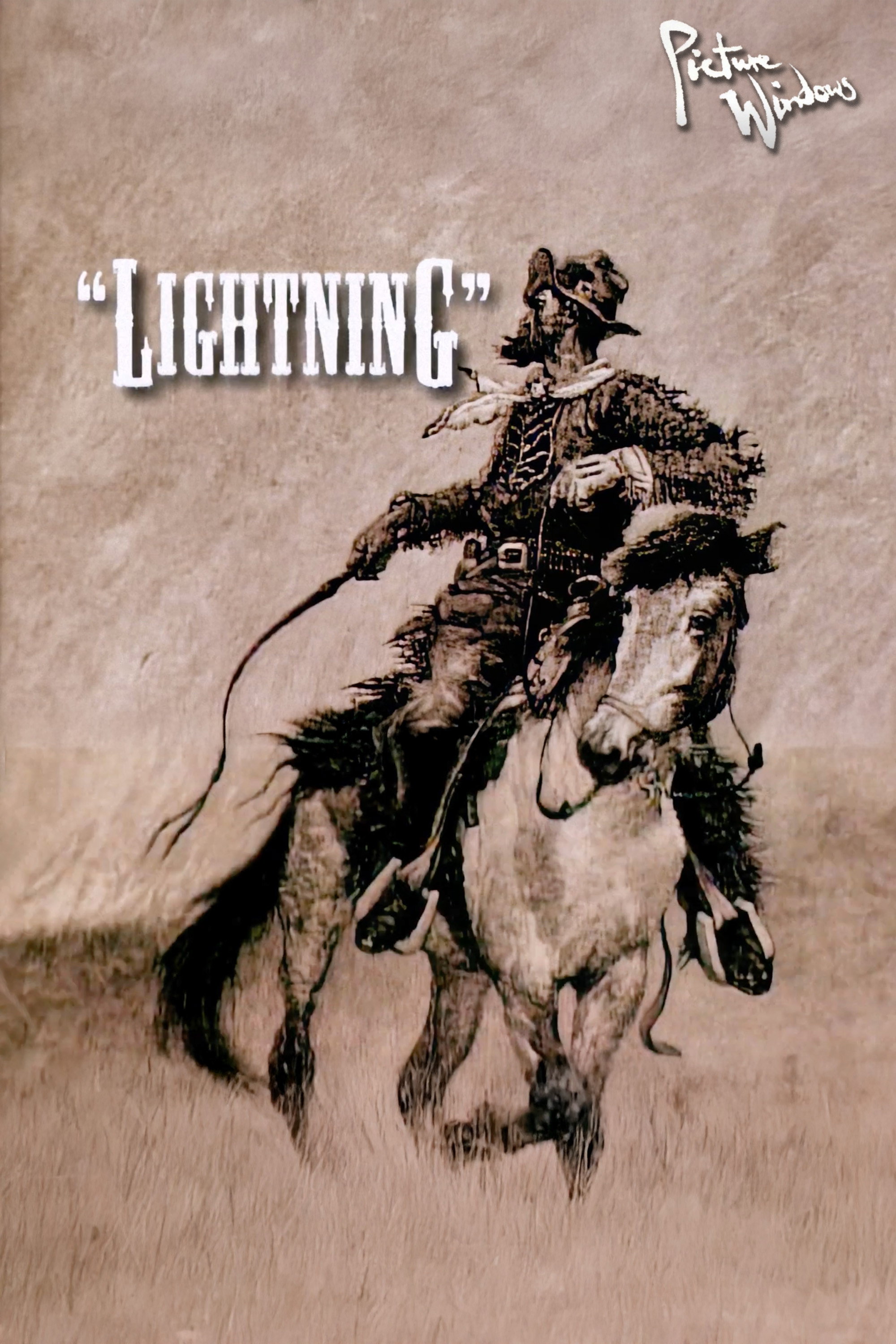 Picture Windows: Lightning (1995) poster
