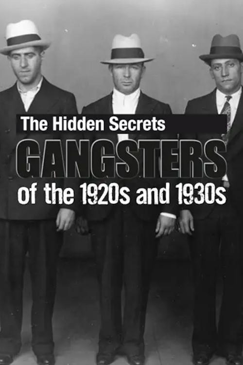 The Hidden Secrets: Gangsters of the 1920s and 1930s (2012) poster