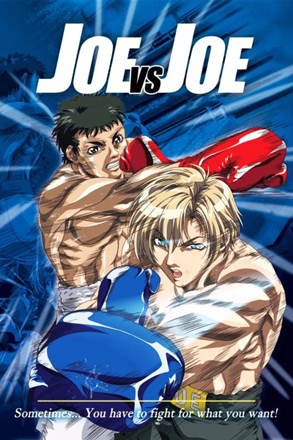 Joe vs. Joe (2003) poster