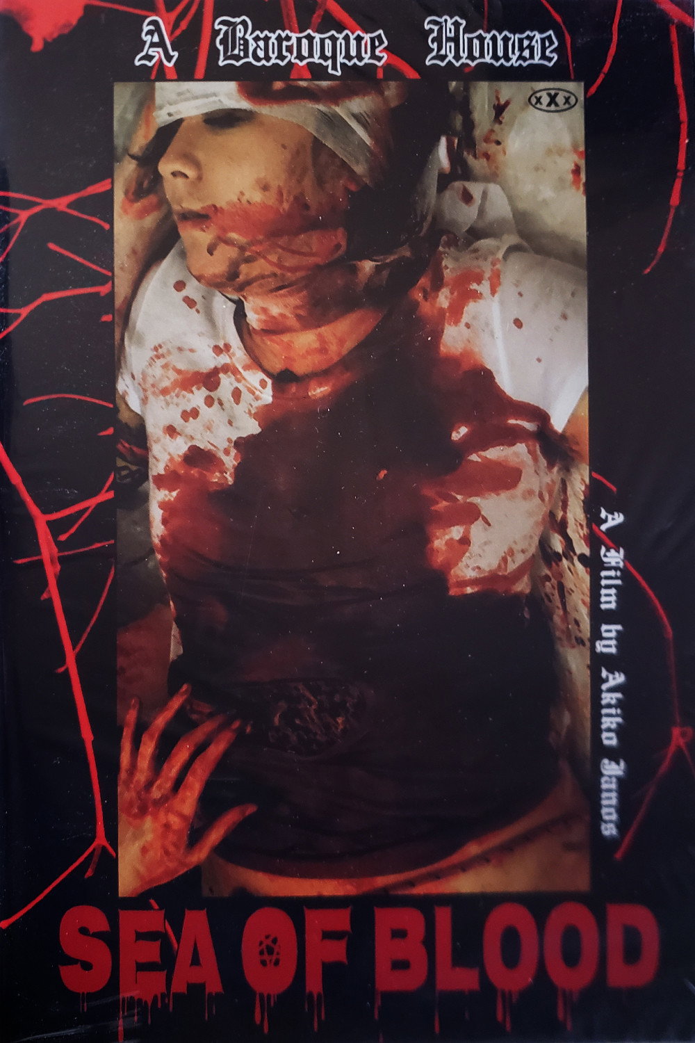 Blood Corrodes Inside: Sea of Blood (2019) poster