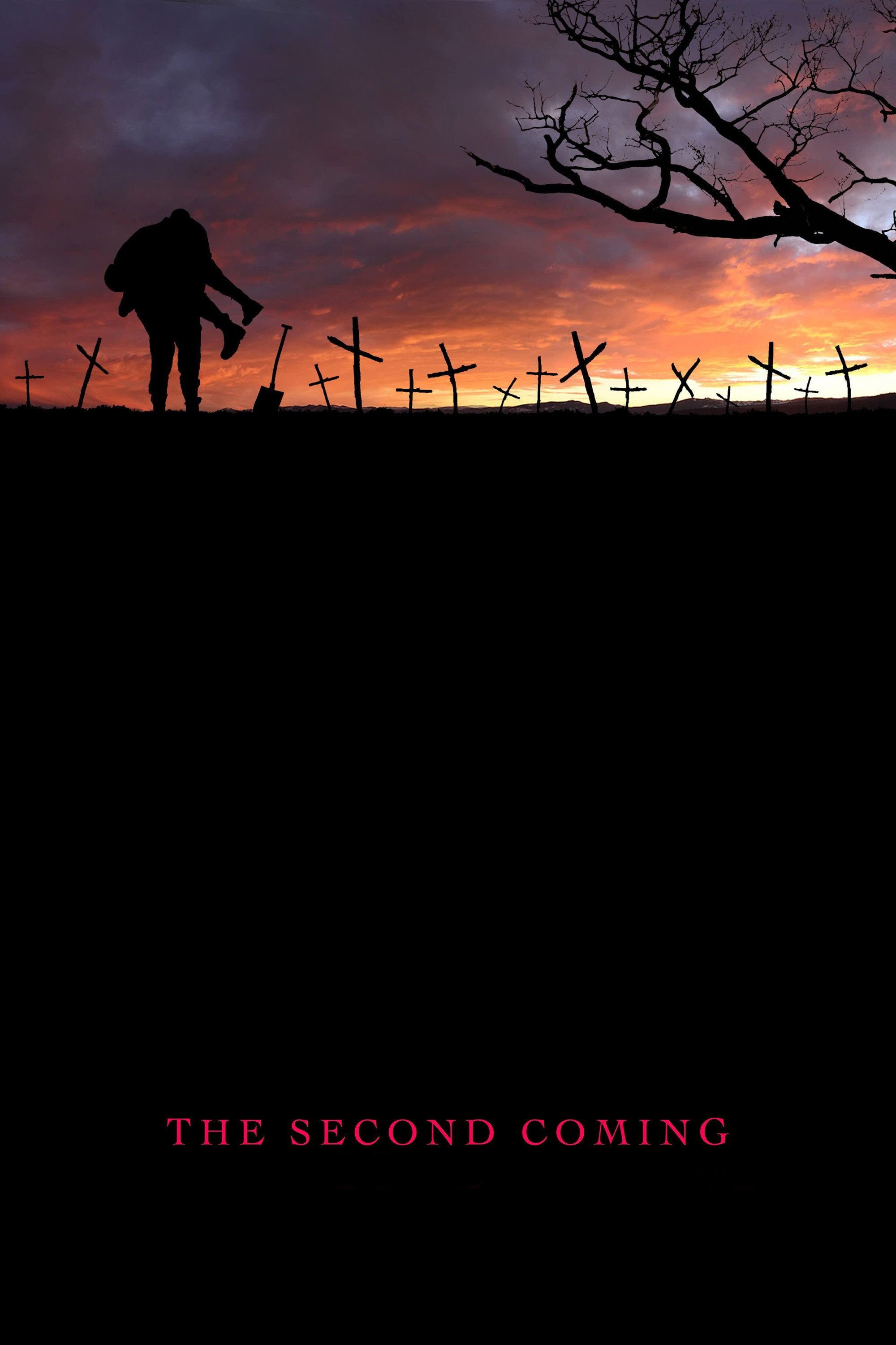 The Second Coming (2008) poster