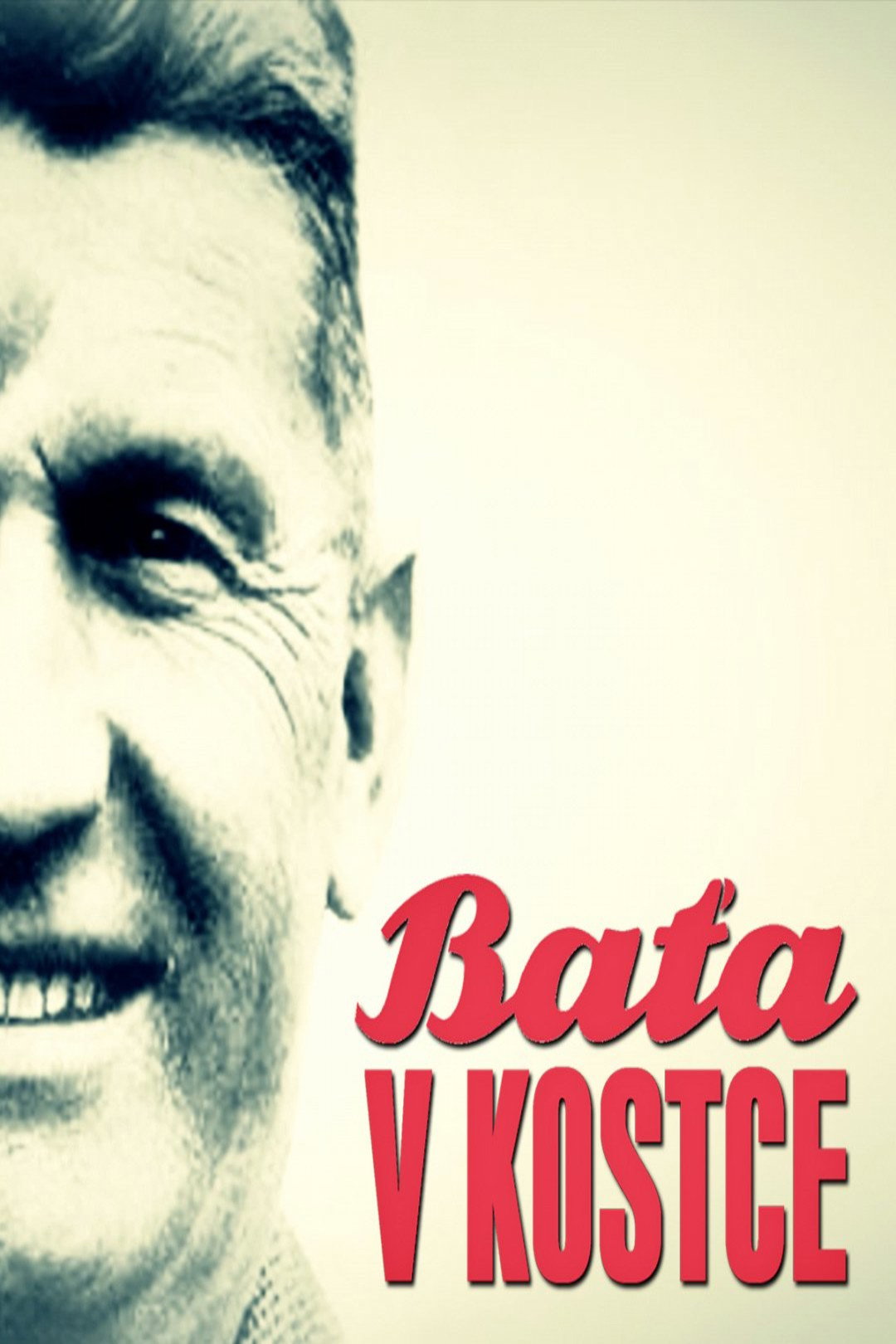 Baťa v kostce (2014) poster