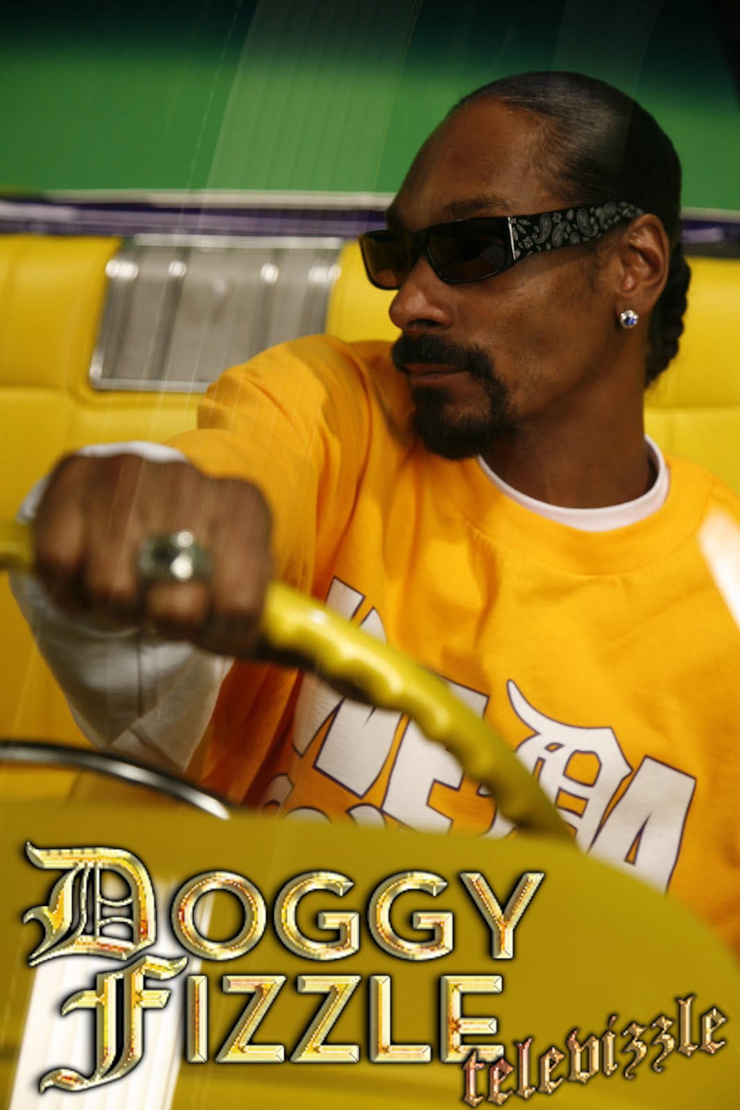 Doggy Fizzle Televizzle (2002) poster