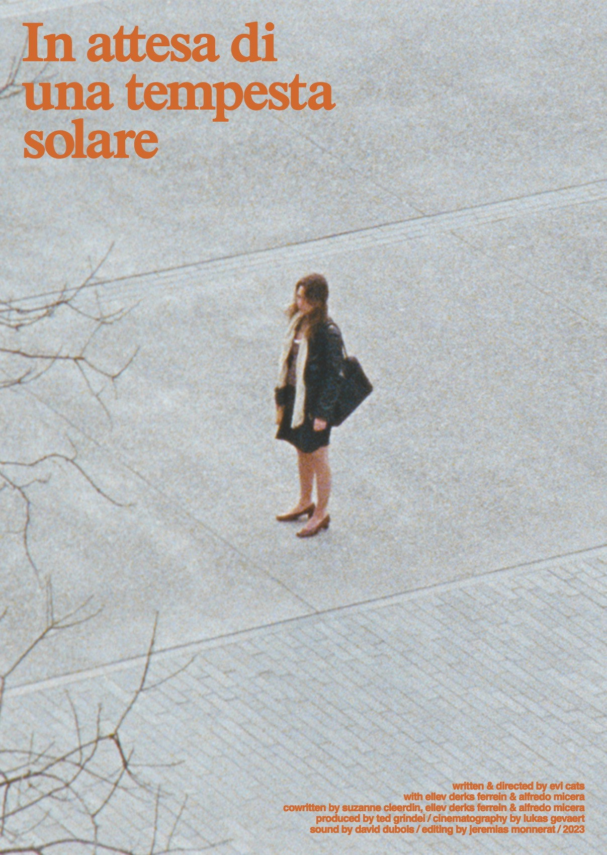 Waiting for a Sun Storm (2023) poster