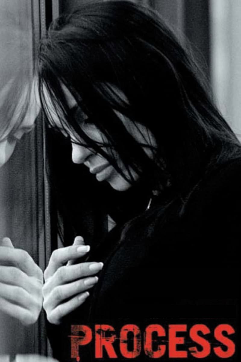 Process (2004) poster