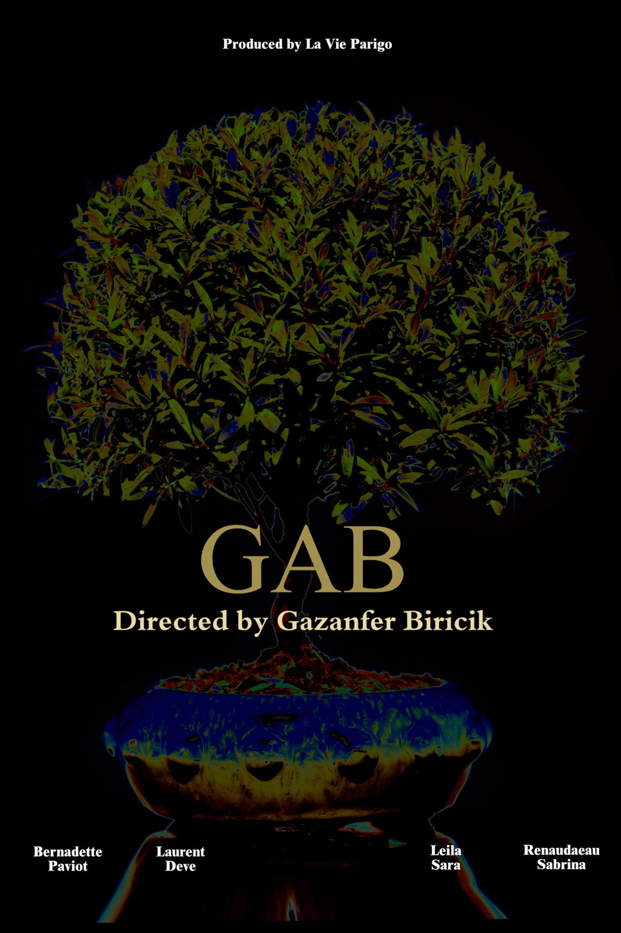 Gab (2018) poster