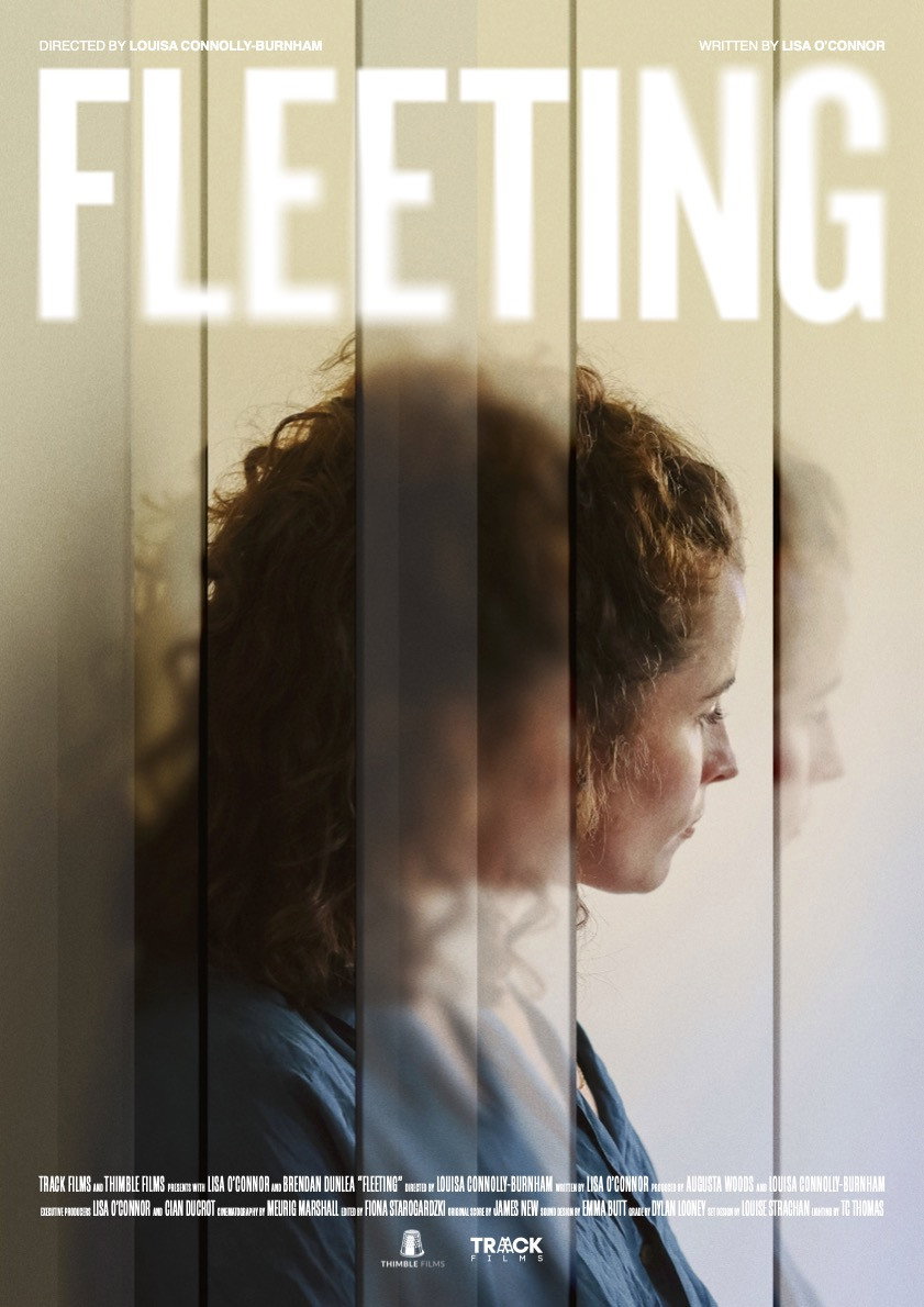 Fleeting (2024) poster