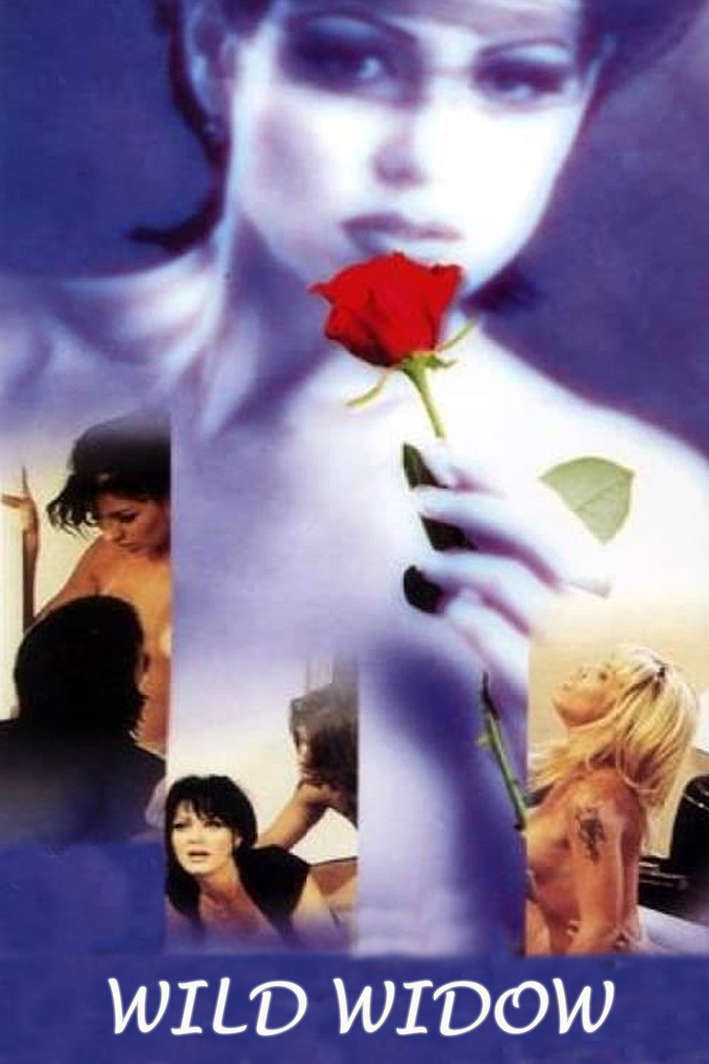 Wild Widow (1997) poster