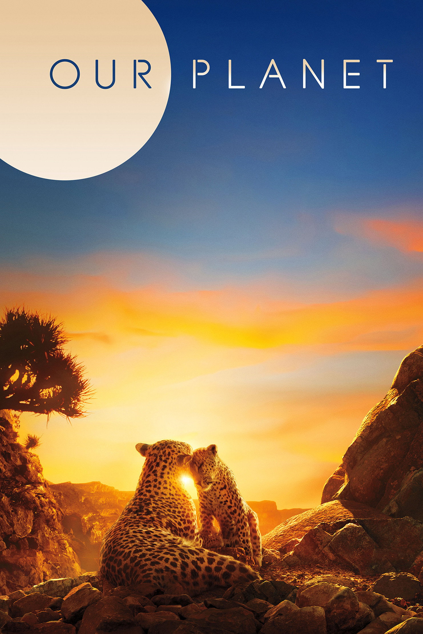 Our Planet (2019) poster
