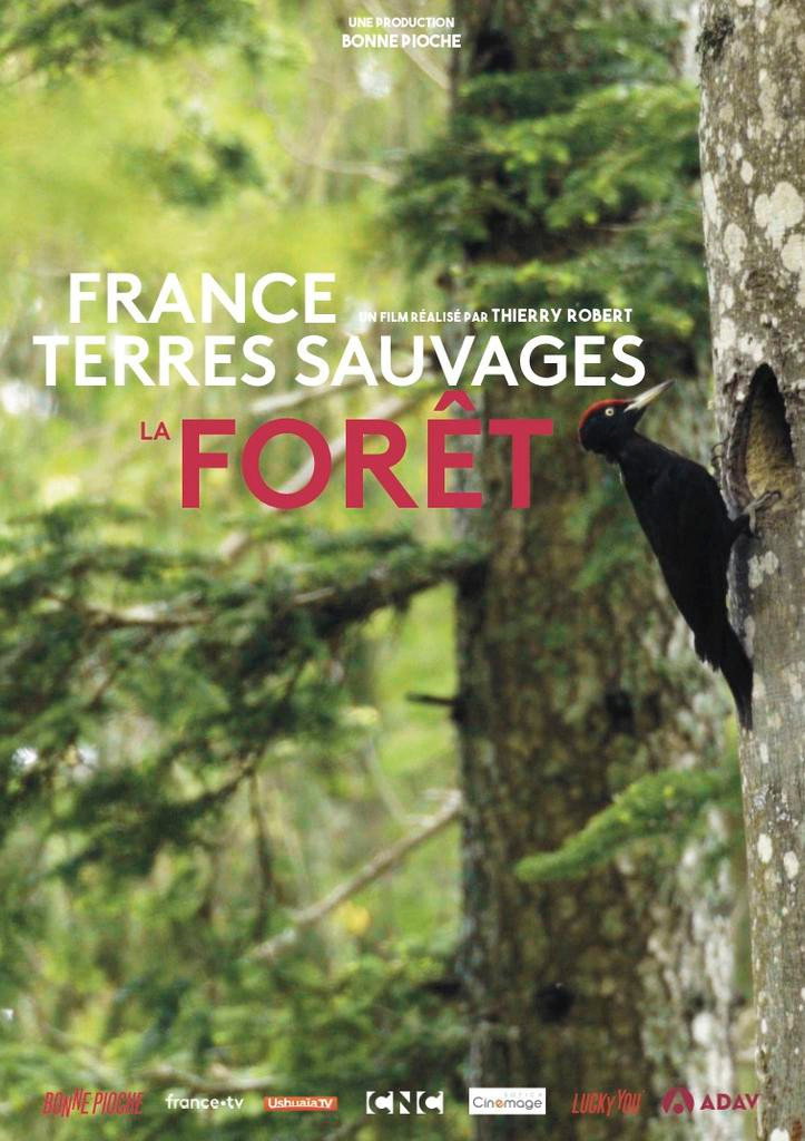 France terres sauvages : La Forêt (2019) poster