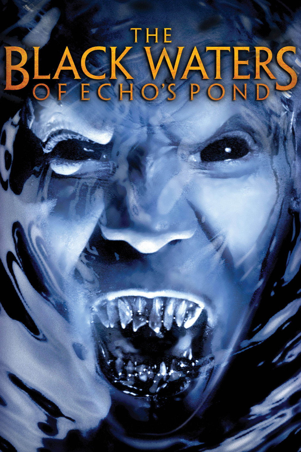 The Black Waters of Echo's Pond (2010) poster