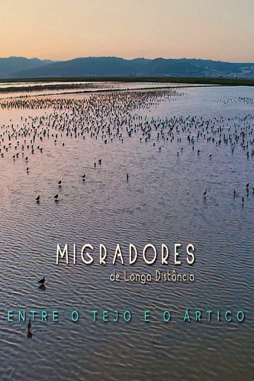 Migradores de Longa Distância: Entre o Tejo e o Ártico (2020) poster