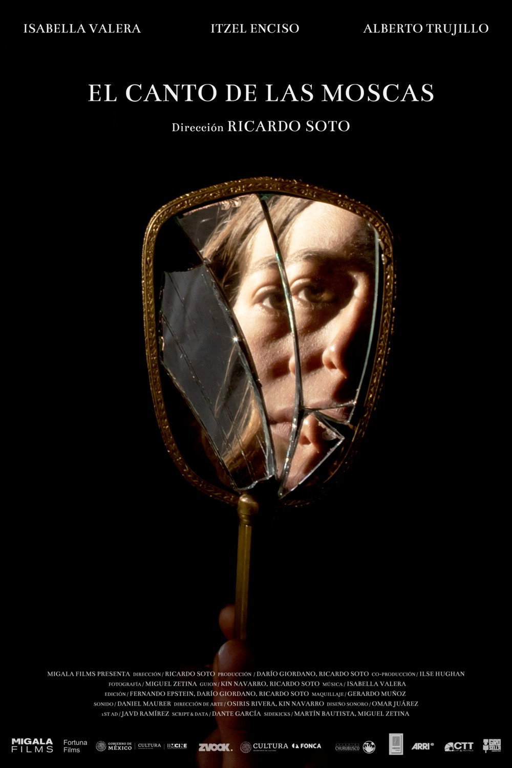 The singing of the flies (2023) poster