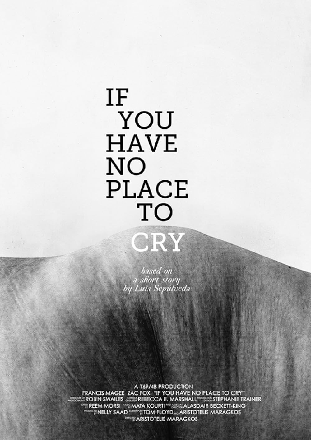 If You Have No Place to Cry (2011) poster