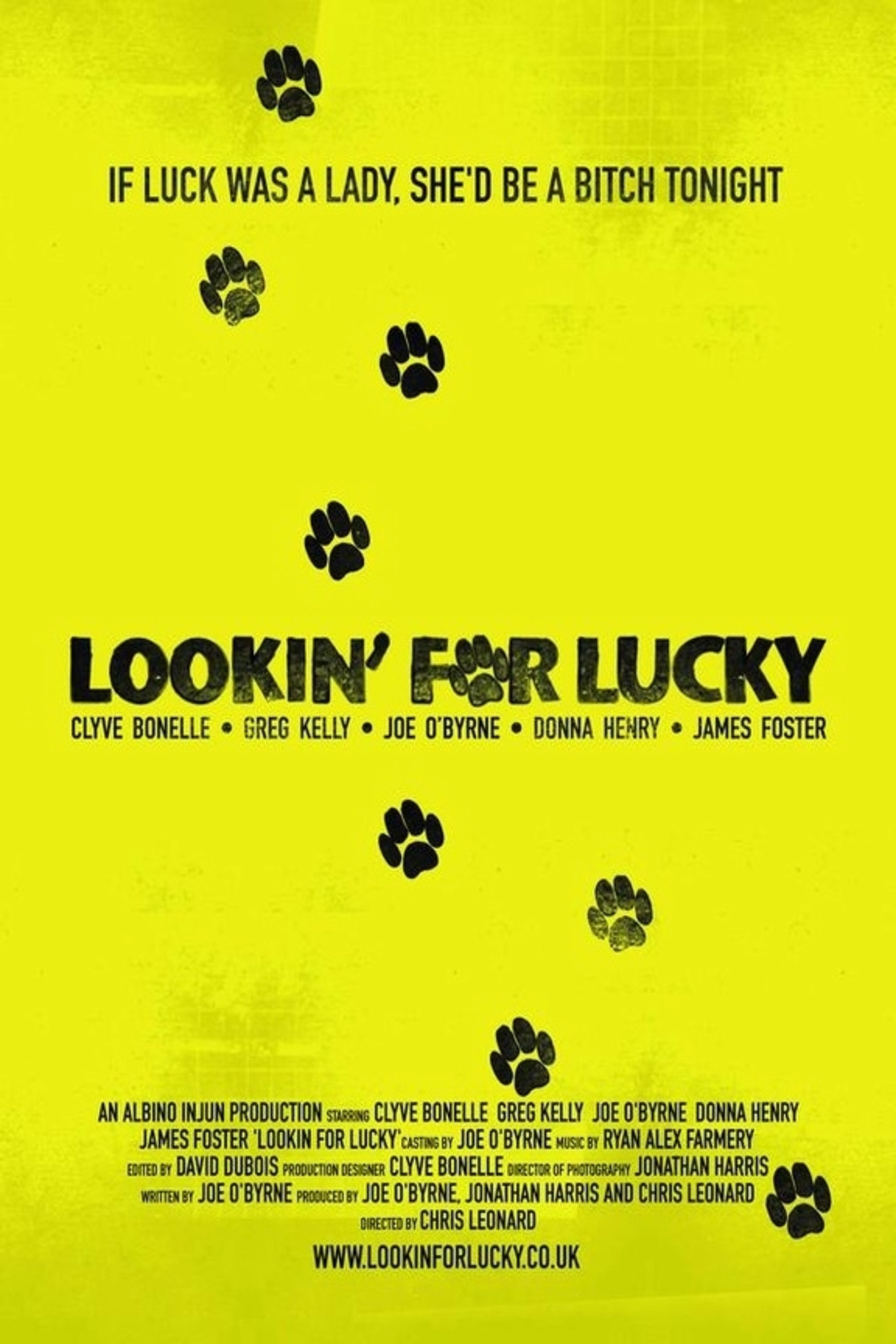 Lookin' For Lucky (2009) poster