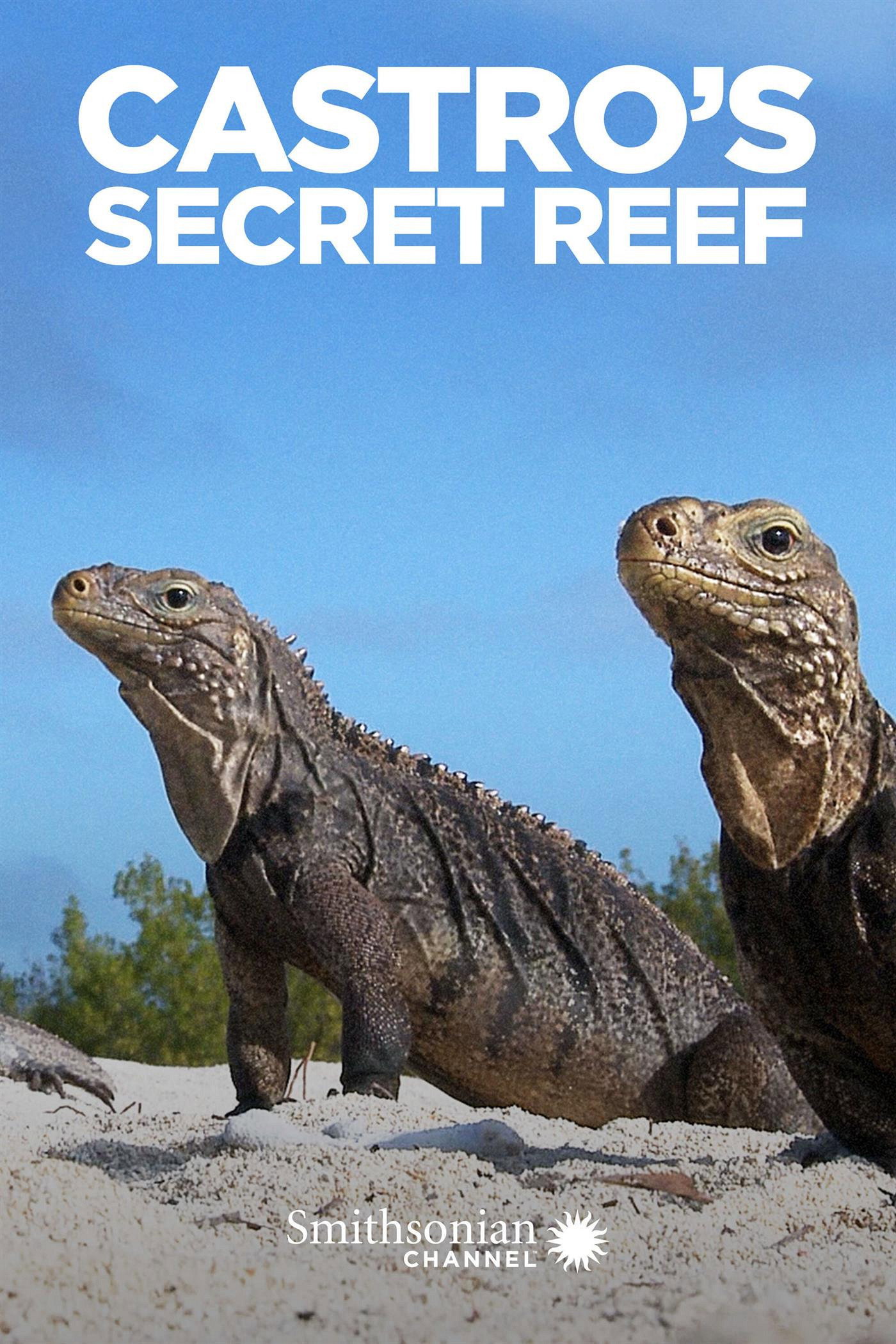 Castro's Secret Reef (2016) poster