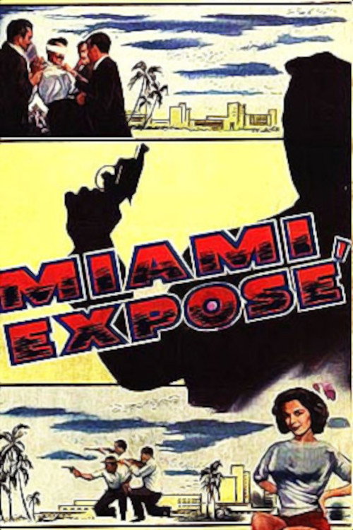 Miami Exposé (1956) poster