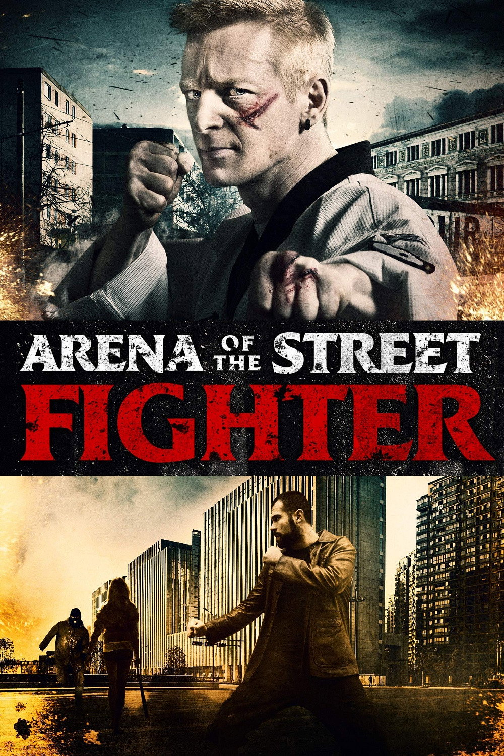 Arena of the Street Fighter (2012) poster
