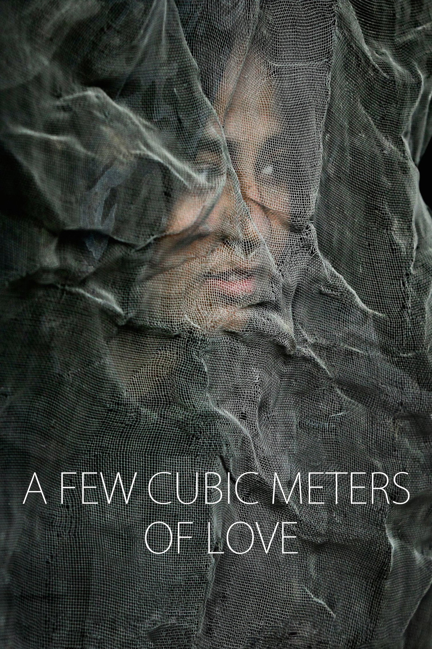 A Few Cubic Meters of Love (2014) poster