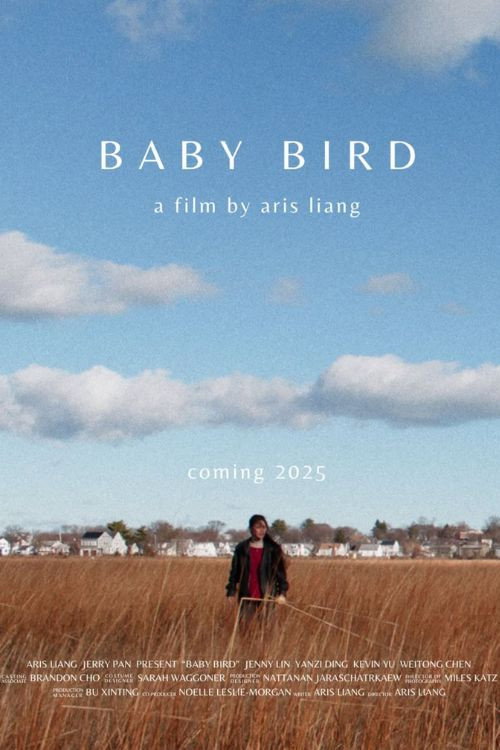 Baby Bird (2026) poster