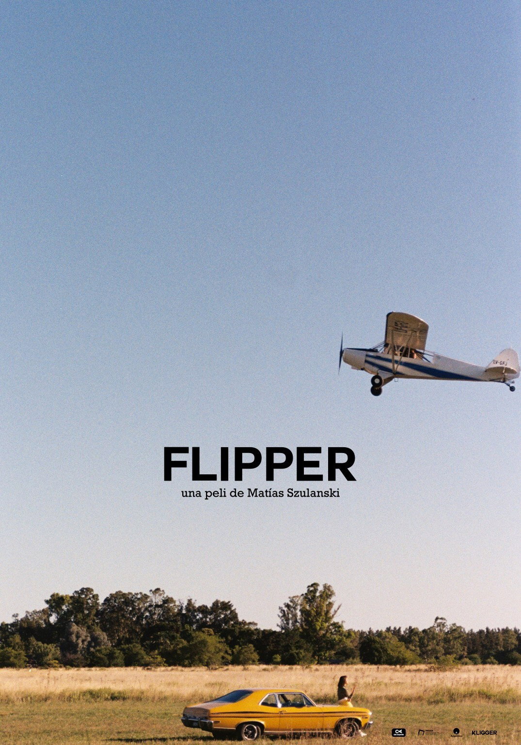 Flipper (2021) poster