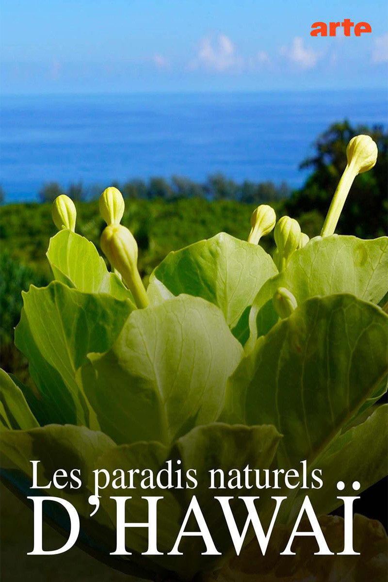 Hawaiis versteckte Paradiese (2022) poster