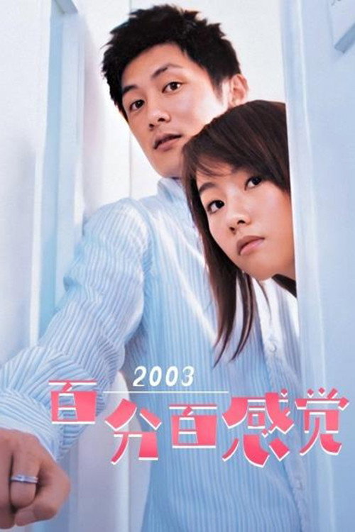 Feel 100% (2004) poster