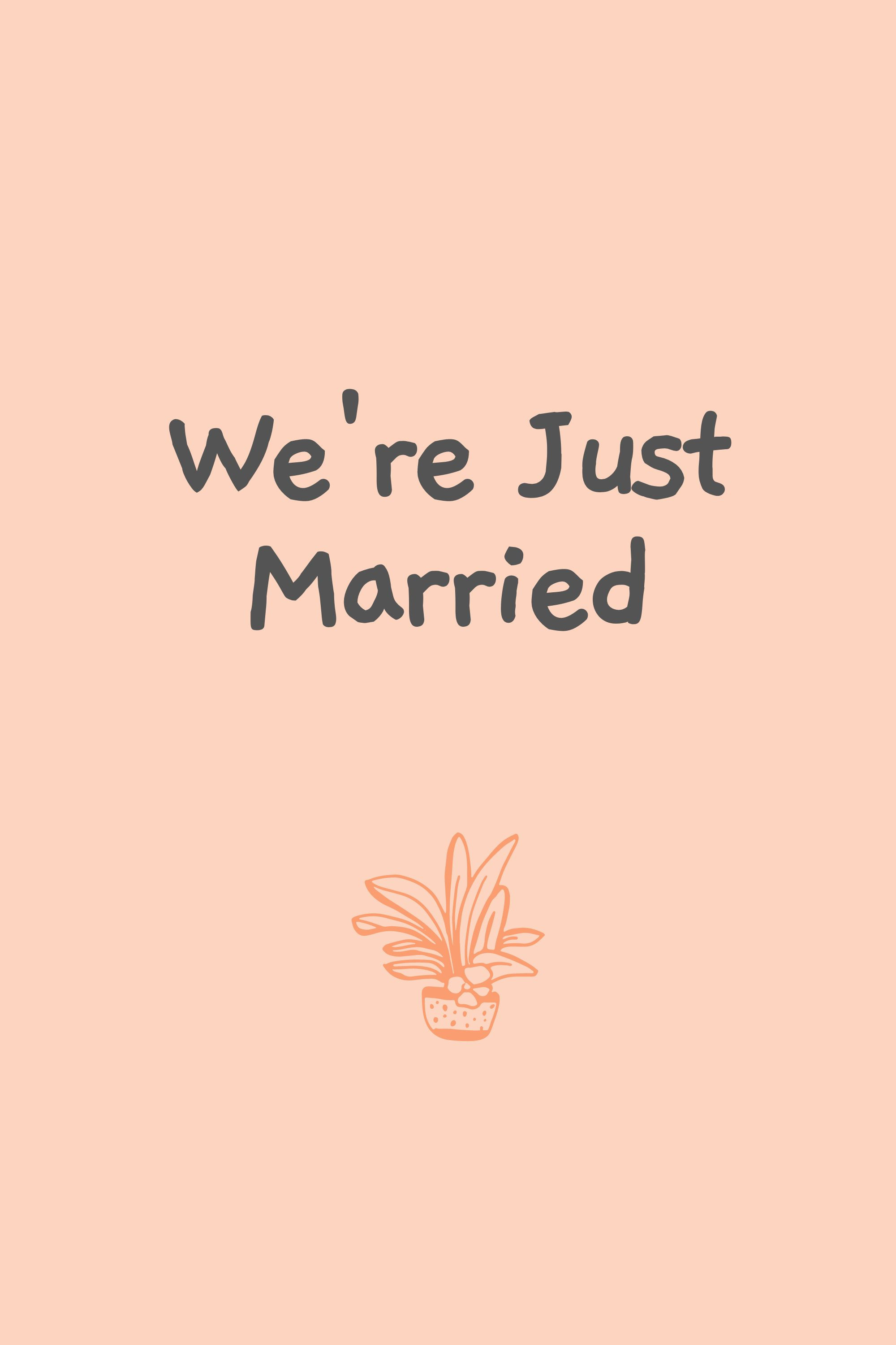 We're Just Married (2026) poster