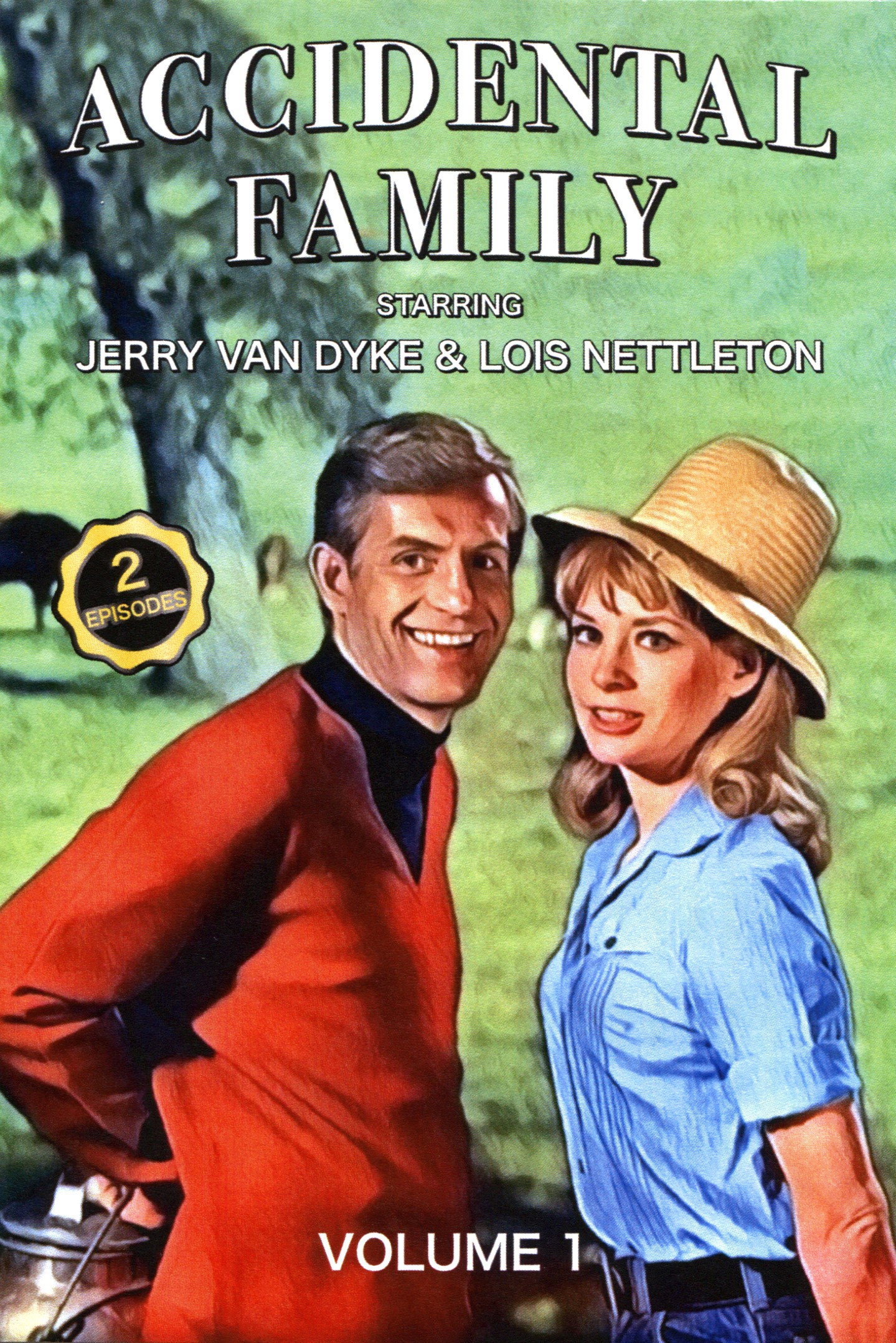 Accidental Family (1967) poster