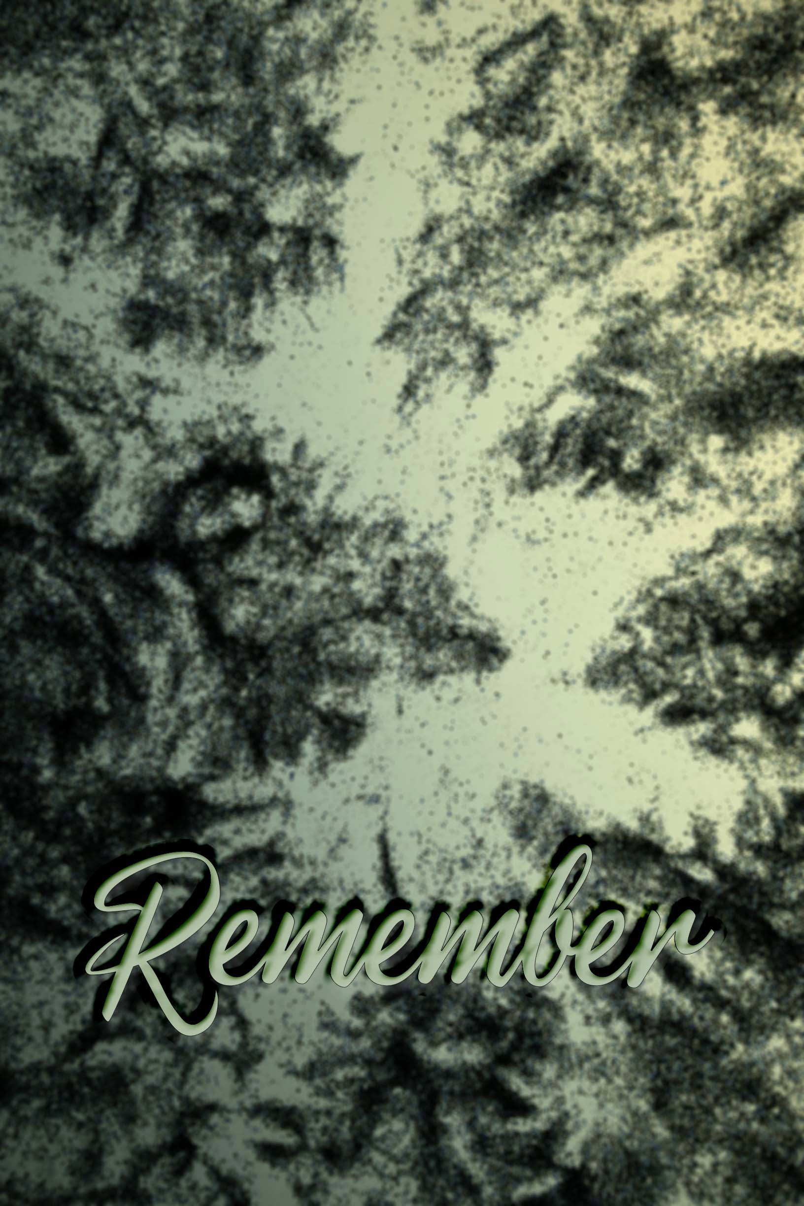 Remember (2023) poster